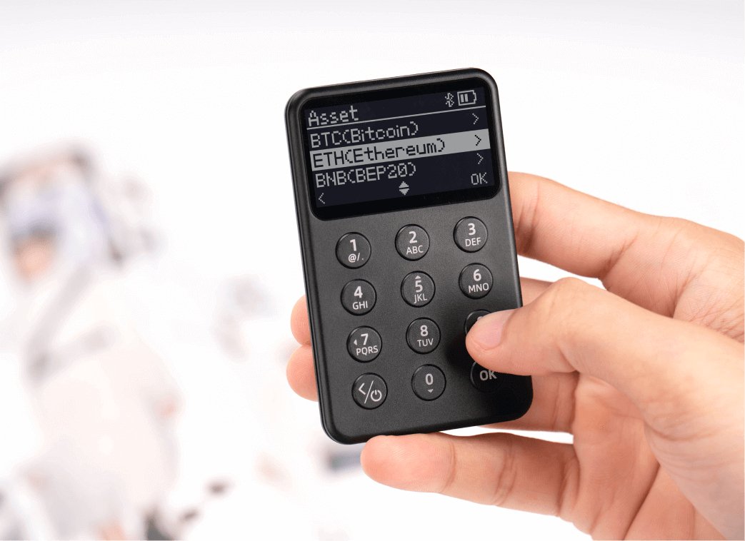 X1 Cryptocurrency Hardware Wallet, Open-sourced with Bluetooth, Cold Storage for Bitcoin,
